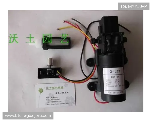 利来国际ag集团：打造全球领先的在线娱乐娱乐平台新格局